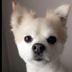 Meet your Posher, Kaylee